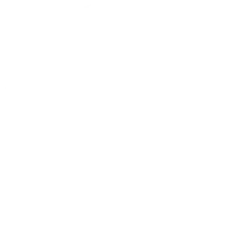 Icono familia