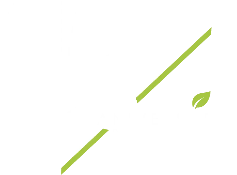 Logo 15 Aniversario
